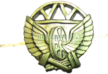 emblema-petlichnaya-gdv-vs-rf